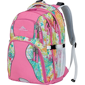 High Sierra Laptop Backpack for Women